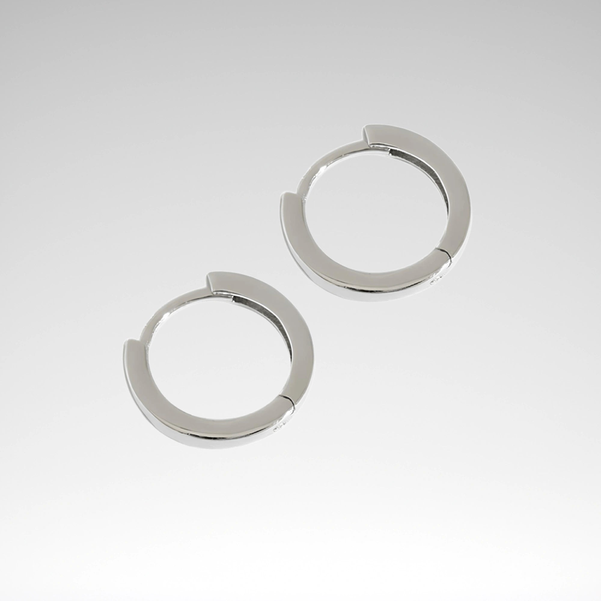 Penny Hoops Earrings